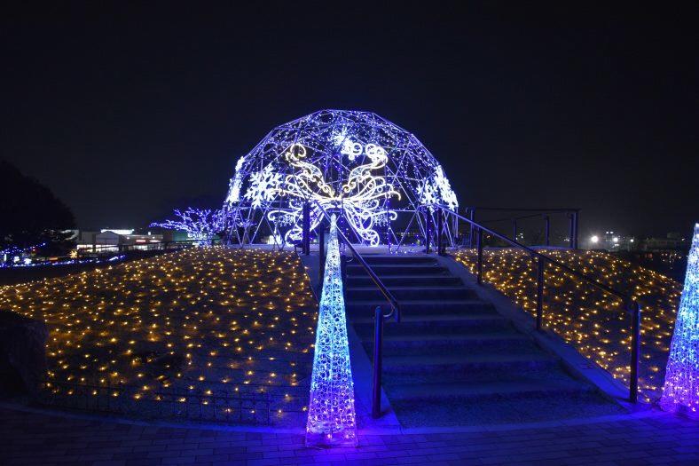 マリーゴールドの丘公園