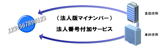 法人 マイ ナンバー